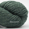 Farbe: Blautanne-05 Bio-Balance BC-Garn