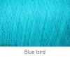 Farbe: Blue-bird-020 Gima 8.5 ITO