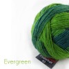 Farbe: Evergreen Zauberball 100 Schoppel