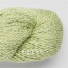 Farbe: Fresh-mint-1812 Sami-Pimacotton Amano