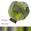 Farbe: Grüne Woche Crazy-Zauberb. Schoppel