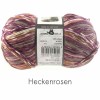 Farbe: Heckenrosen Admiral-R Schoppel
