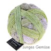 Farbe: Junges Gemüse Zauberb.-Cotton Schoppel