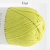 Farbe: Kiwi-16 Summer Kashmir BC-Garn