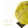 Farbe: LichtimSchacht Zauberball 100 Schoppel
