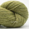 Farbe: Limette-04 Bio-Balance BC-Garn