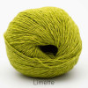 Farbe: Limette-20 Allino BC-Garn