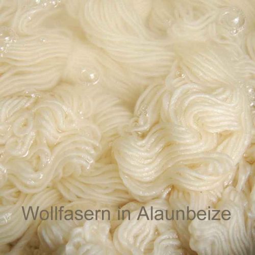 Naturfarbige Wollfasern im Alaunbeize-Bad