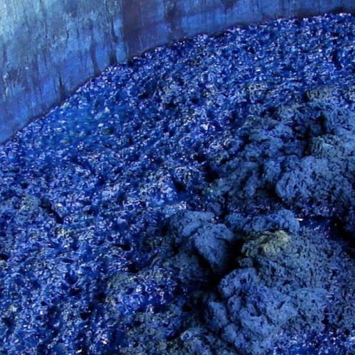 Indigo - Pulver zum Blaumachen