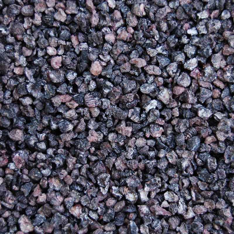 Vollbild Getrocknete Cochenille-Läuse zum Färben von Naturfasern wie Wolle und Seide