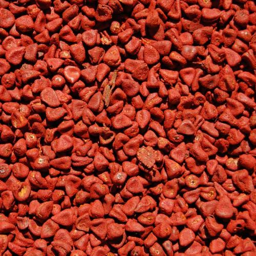 Orleansaat oder Anattosaat in rotorange für gelborange Pflanzenfärbungen
