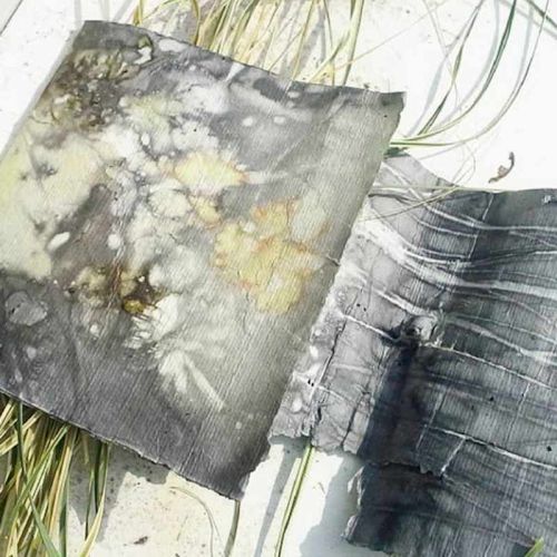 Ecoprint auf Papier