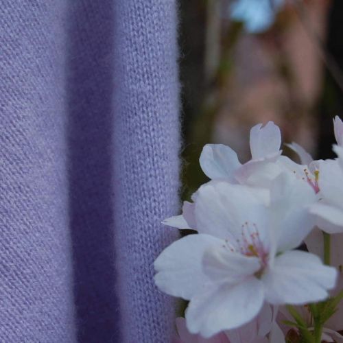 Detailaufnahme einer fliederfarbenen Cashmere-Jacke mit Kirschblüte