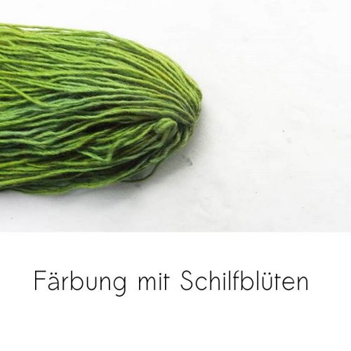 Strang in Grün, gefärbt mit Schilfblüten